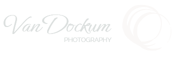 VD logo